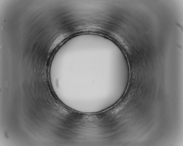 X0000096390978200802141451