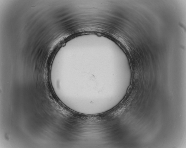 X0000096390979200802141451