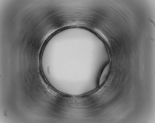 X0000096390980200802141451