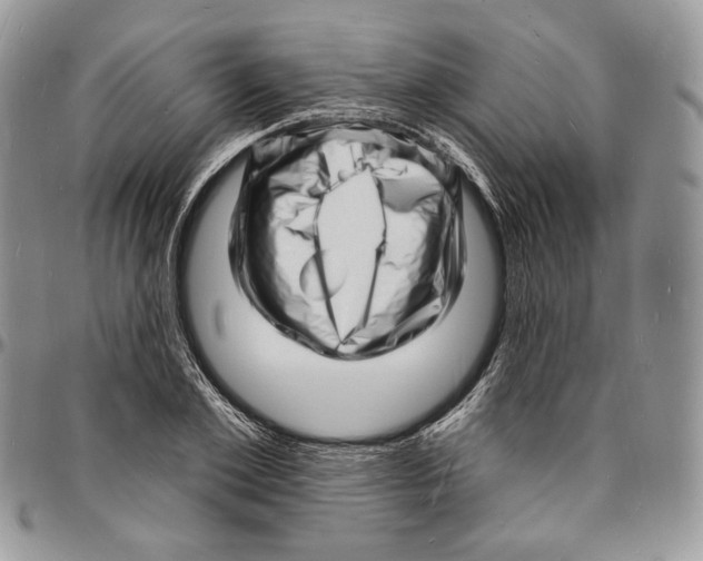 X0000096390981200802141451