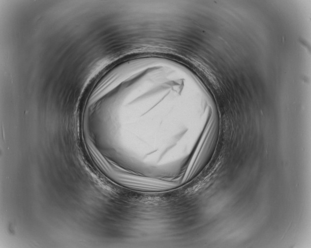 X0000096390982200802141451