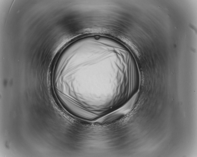 X0000096390983200802141451