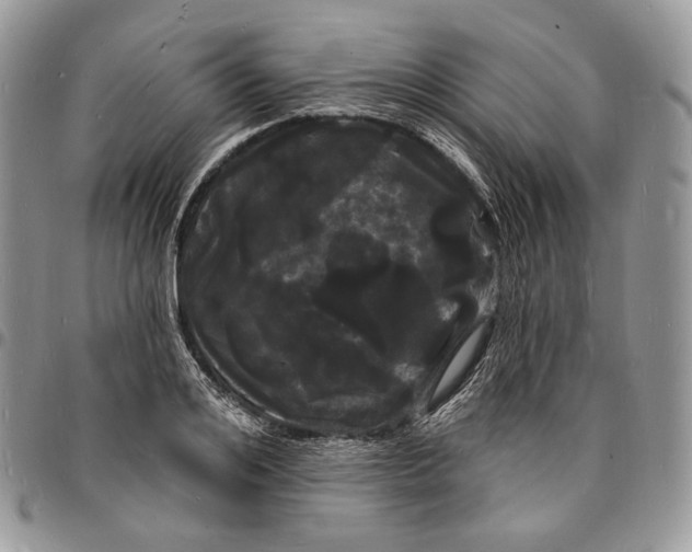 X0000096390984200802141451