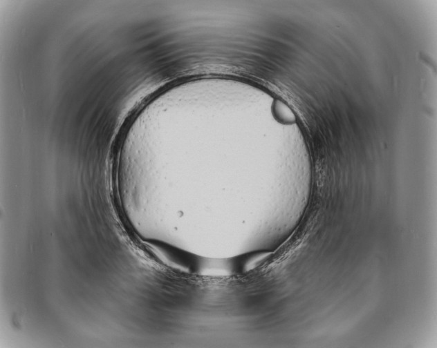 X0000096390987200802141451