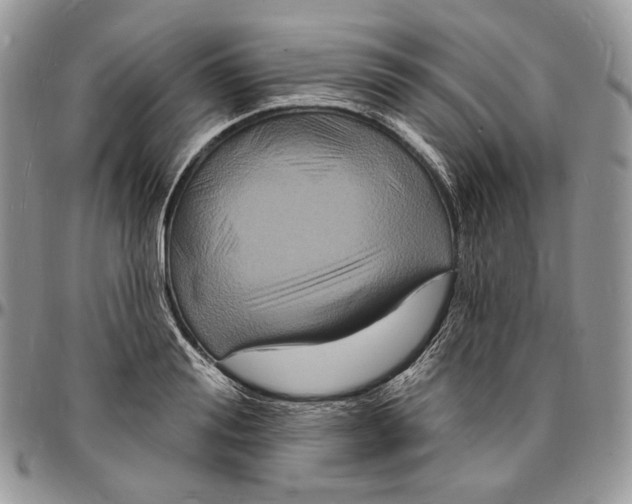 X0000096390988200802141451