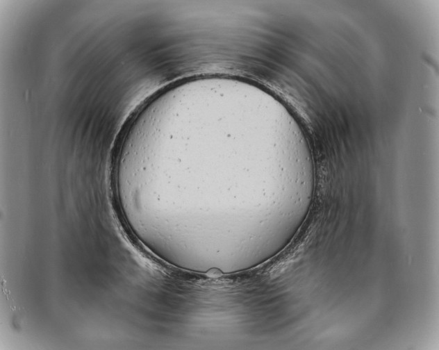 X0000096390991200802141451