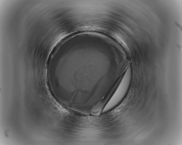 X0000096390992200802141451