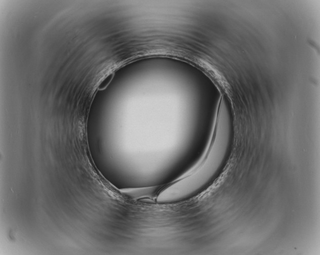 X0000096390993200802141451