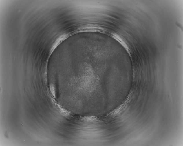 X0000096390994200802141451