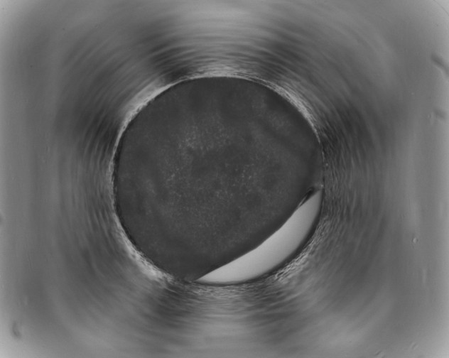 X0000096390995200802141451