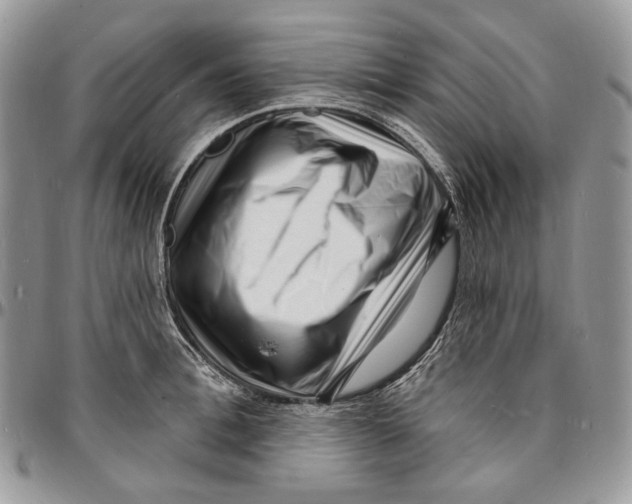 X0000096390996200802141451