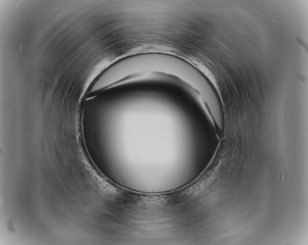 X0000096390997200802141451