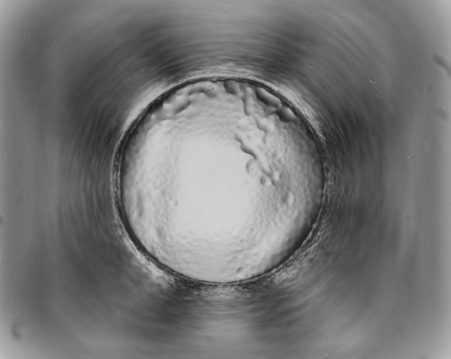 X0000096390998200802141451