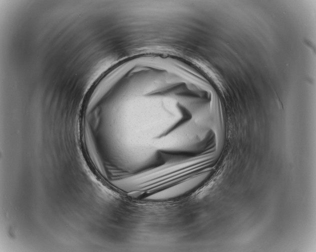 X0000096390999200802141451