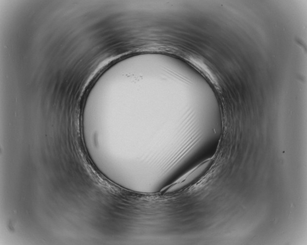 X0000096391000200802141451