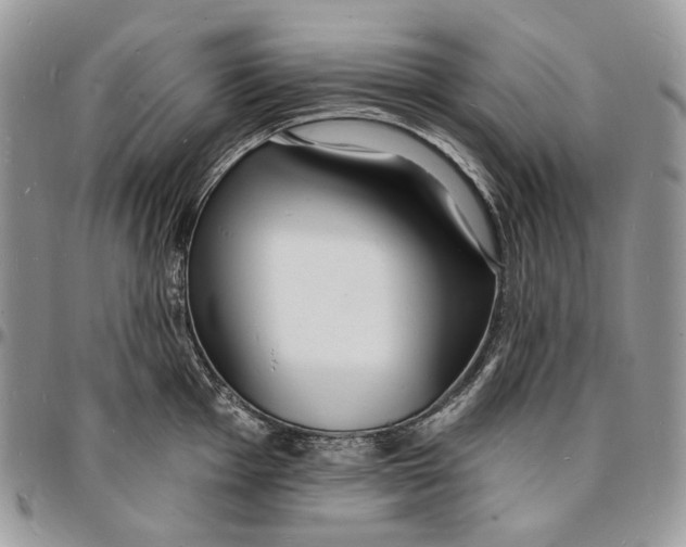 X0000096391001200802141451