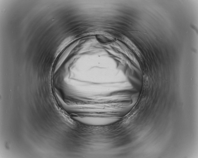 X0000096391002200802141451