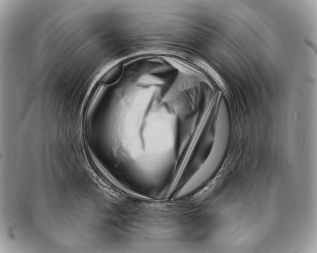 X0000096391004200802141451