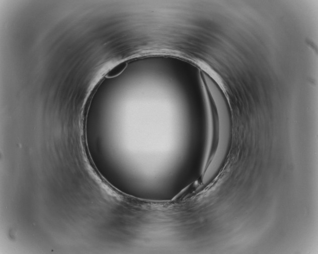 X0000096391005200802141451