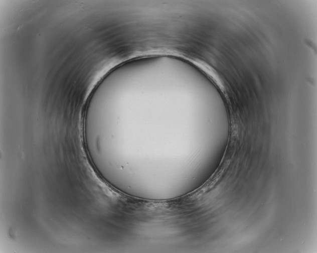 X0000096391006200802141451