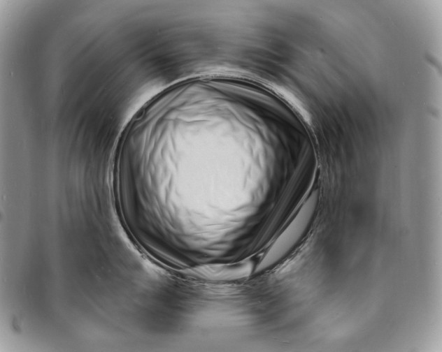 X0000096391007200802141450