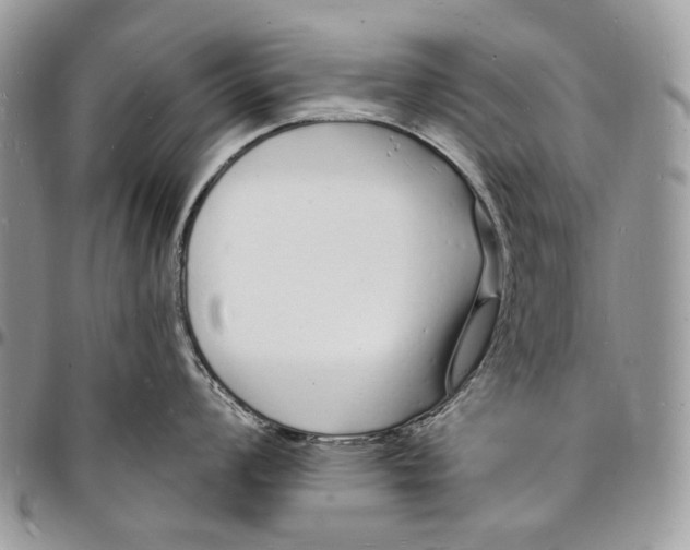 X0000096391008200802141450
