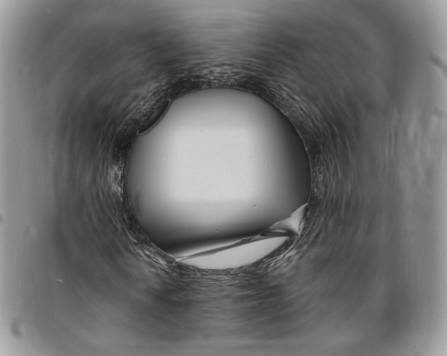X0000096391010200802141450