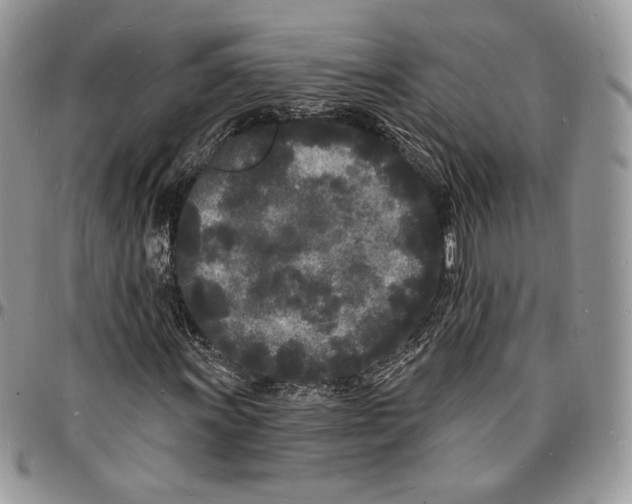 X0000096391011200802141450
