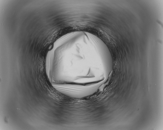X0000096391012200802141450