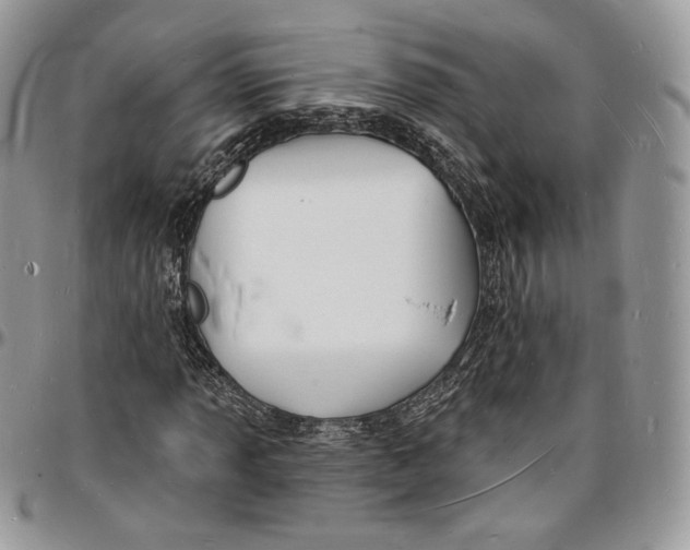 X0000096391013200802141450