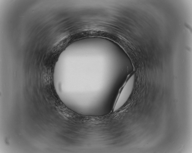 X0000096391014200802141450