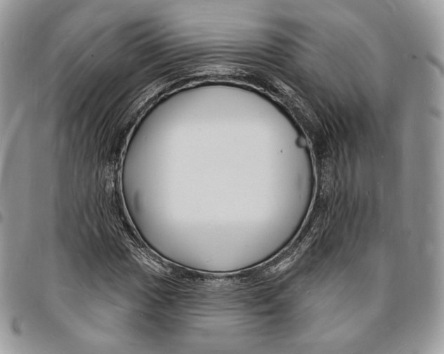 X0000096391017200802141450