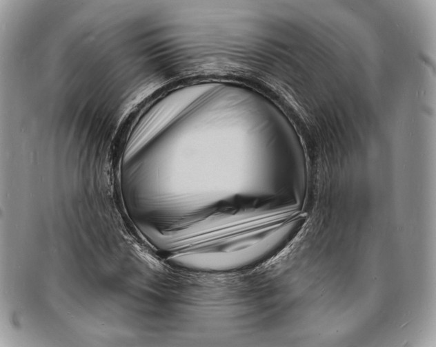 X0000096391018200802141450