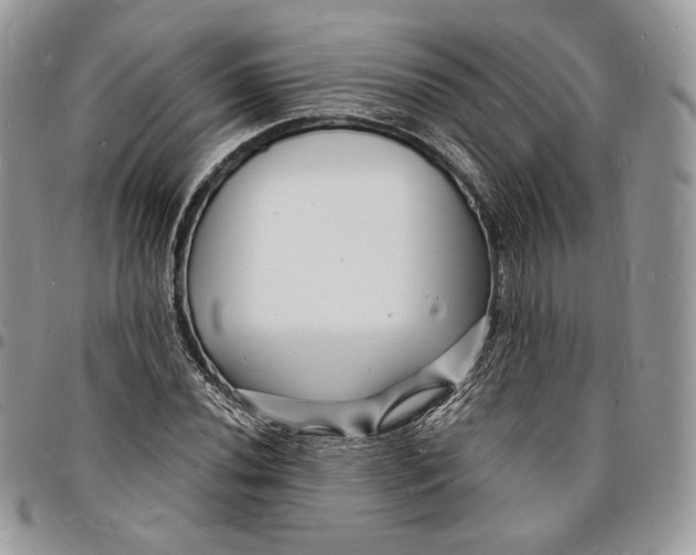 X0000096391020200802141450