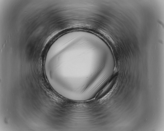 X0000096391021200802141450