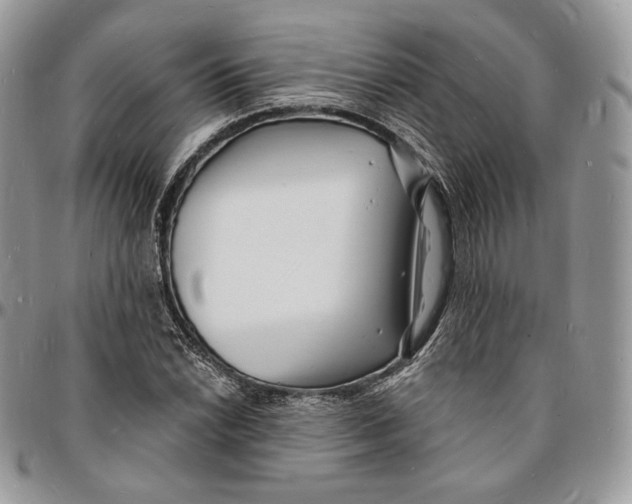 X0000096391022200802141450
