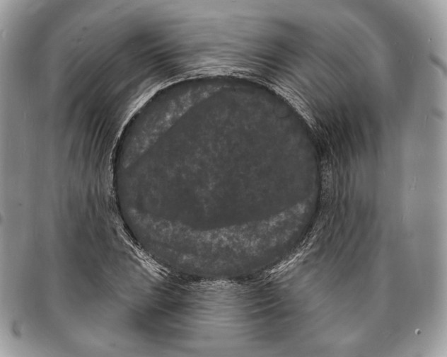 X0000096391023200802141450