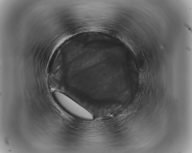 X0000096391024200802141450
