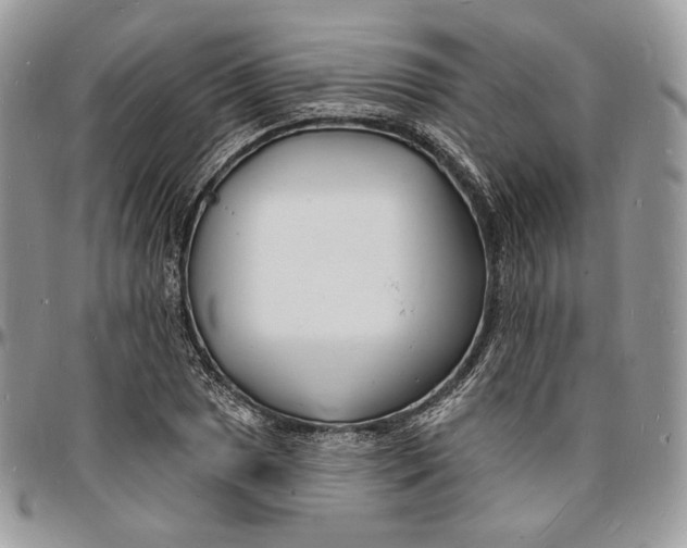 X0000096391025200802141450