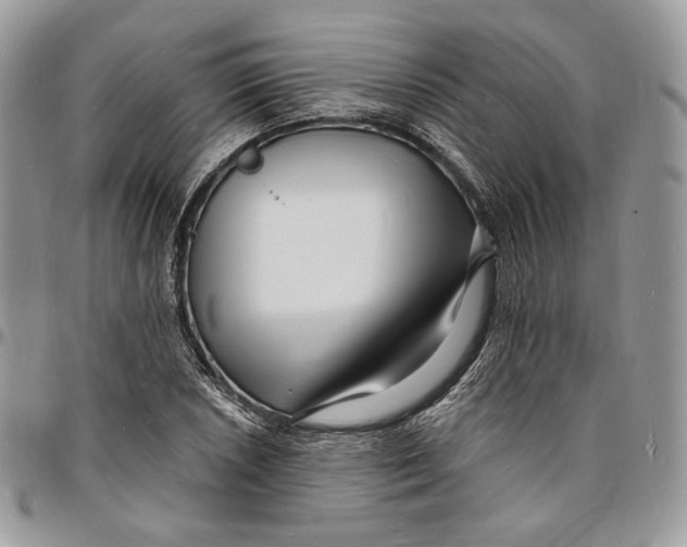 X0000096391026200802141450