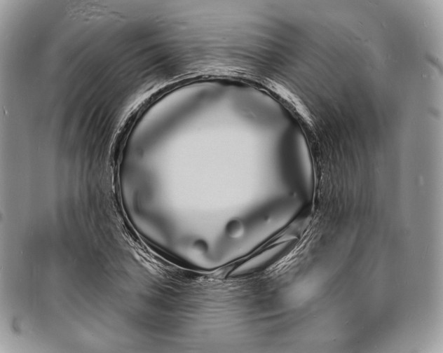 X0000096391027200802141450
