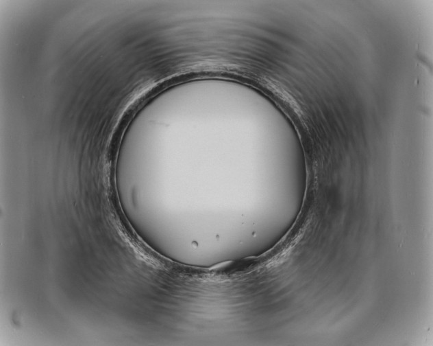 X0000096391029200802141450