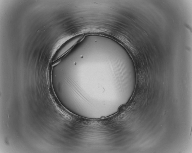 X0000096391030200802141450