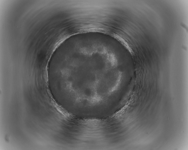 X0000096391031200802141450