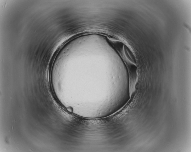 X0000096391032200802141450