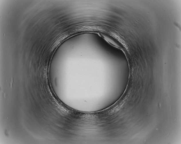 X0000096391033200802141450