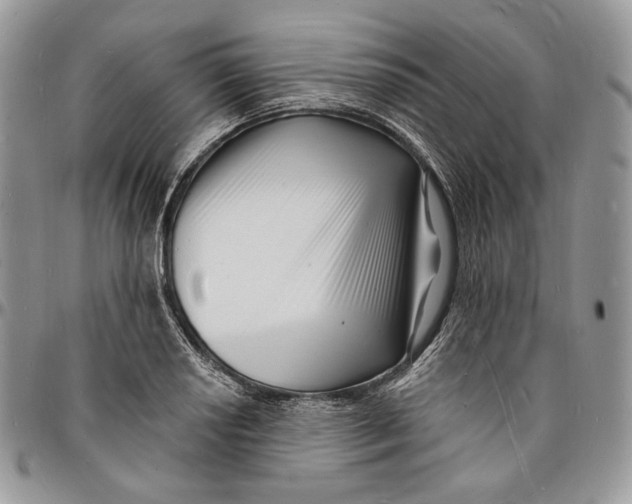 X0000096391034200802141450