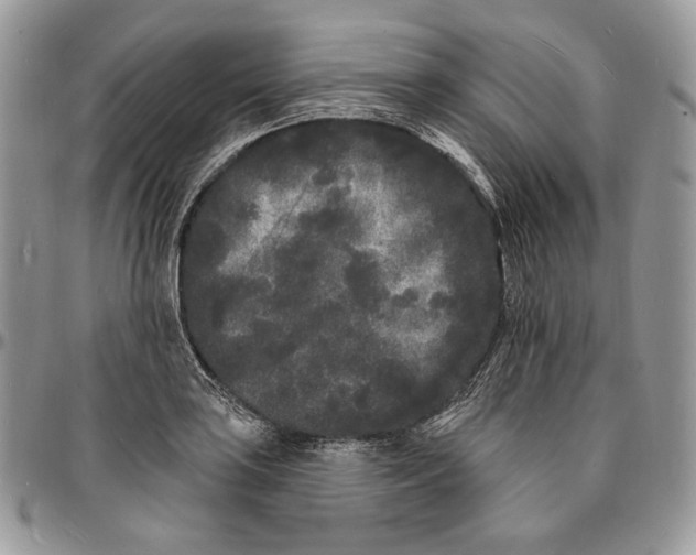 X0000096391035200802141450