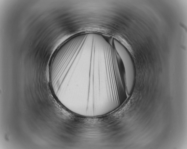 X0000096391036200802141450