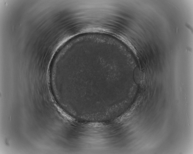 X0000096391037200802141450